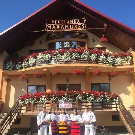 Pensiunea Maramures Ocna Sugatag Ngoại thất bức ảnh