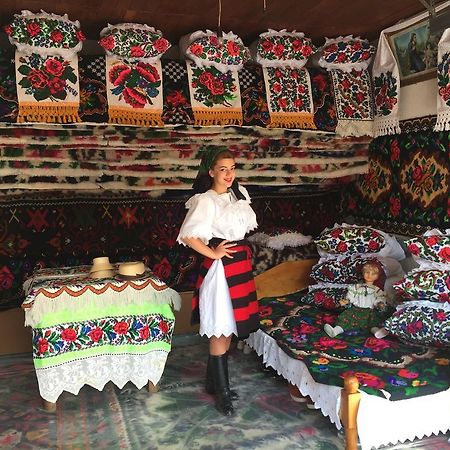 Pensiunea Maramures Ocna Sugatag Ngoại thất bức ảnh