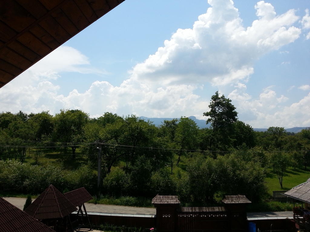 Pensiunea Maramures Ocna Sugatag Ngoại thất bức ảnh