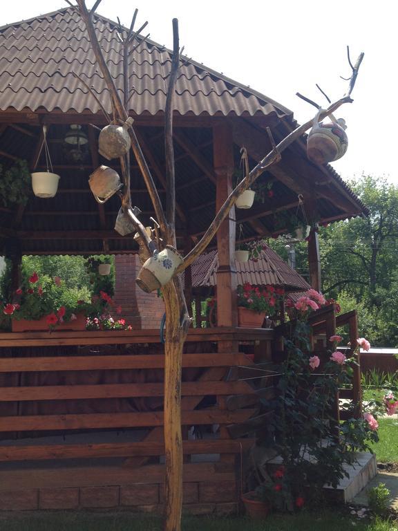 Pensiunea Maramures Ocna Sugatag Ngoại thất bức ảnh