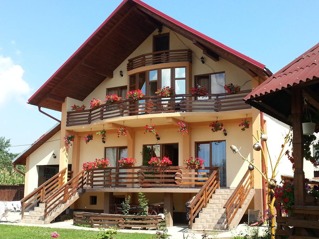 Pensiunea Maramures Ocna Sugatag Ngoại thất bức ảnh