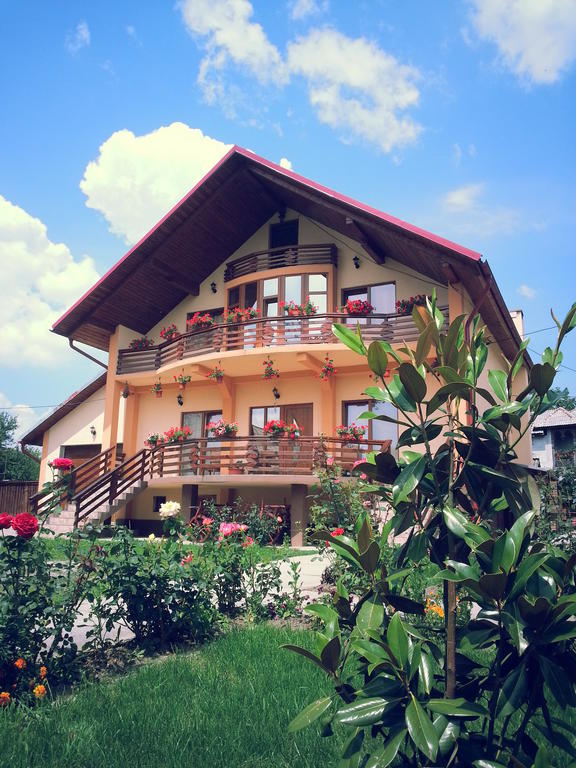 Pensiunea Maramures Ocna Sugatag Ngoại thất bức ảnh
