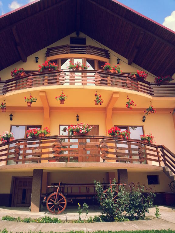 Pensiunea Maramures Ocna Sugatag Ngoại thất bức ảnh