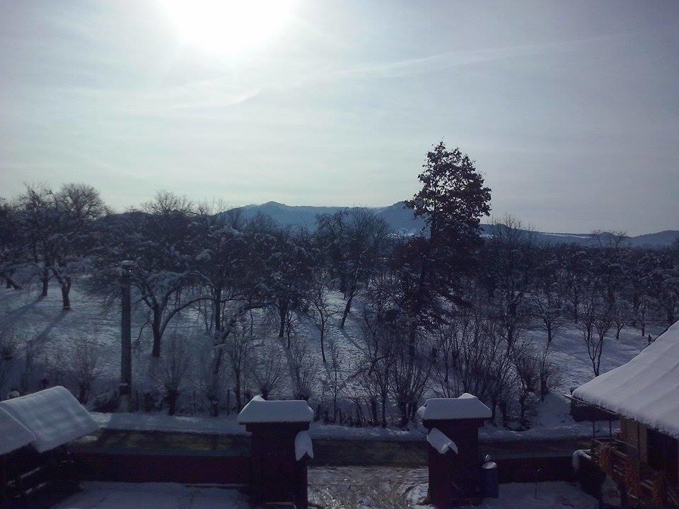 Pensiunea Maramures Ocna Sugatag Ngoại thất bức ảnh