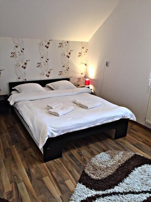 Pensiunea Maramures Ocna Sugatag Ngoại thất bức ảnh