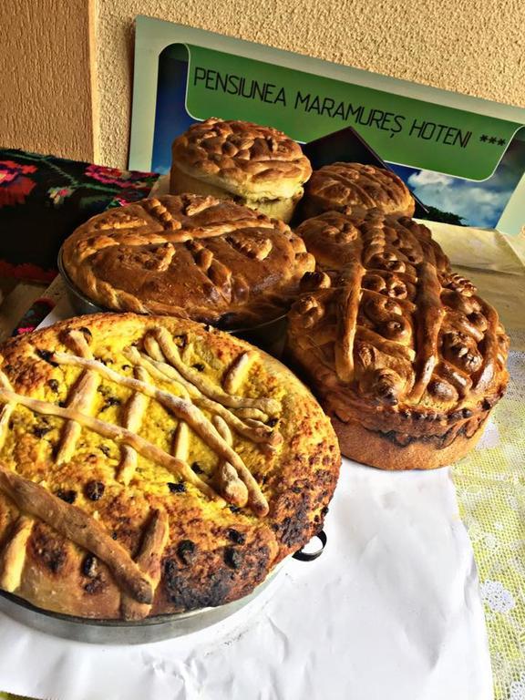 Pensiunea Maramures Ocna Sugatag Ngoại thất bức ảnh