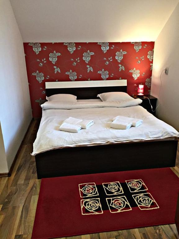 Pensiunea Maramures Ocna Sugatag Ngoại thất bức ảnh