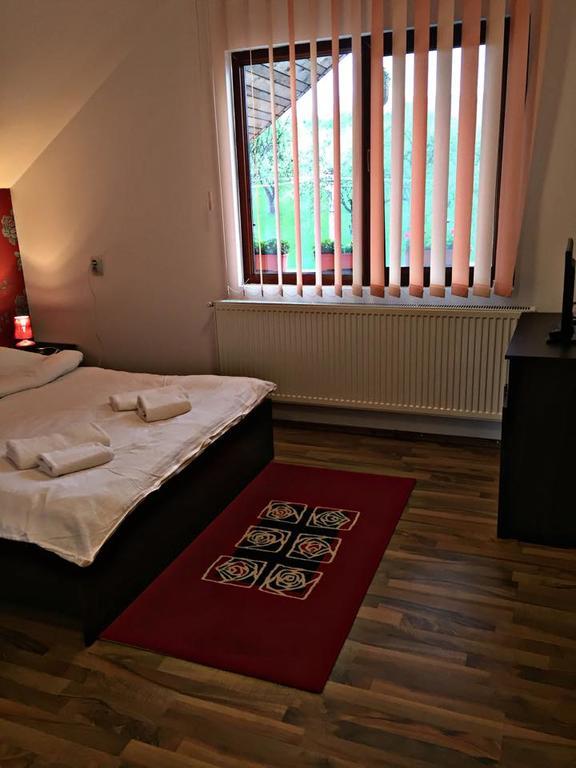 Pensiunea Maramures Ocna Sugatag Ngoại thất bức ảnh