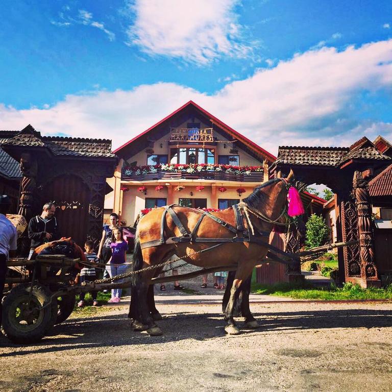 Pensiunea Maramures Ocna Sugatag Ngoại thất bức ảnh