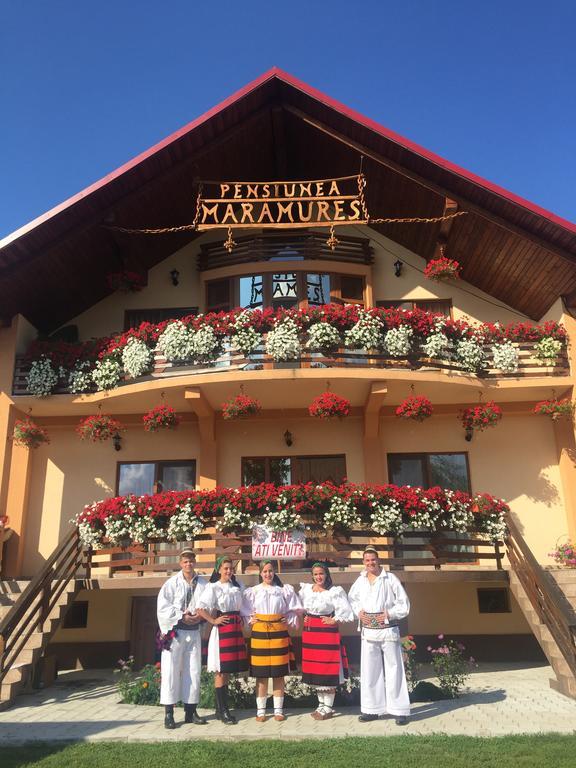 Pensiunea Maramures Ocna Sugatag Ngoại thất bức ảnh